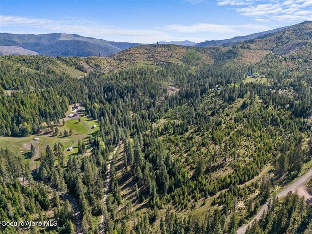 NKA Mutch Creek Rd, Saint Maries, ID 83861 - photo 5