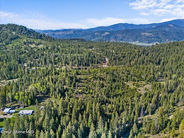 NKA Mutch Creek Rd, Saint Maries, ID 83861 - photo 9