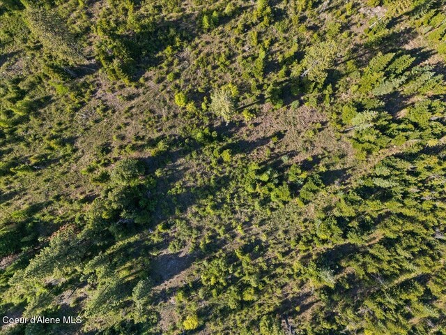 NKA Mutch Creek Rd, Saint Maries, ID 83861 - photo 10