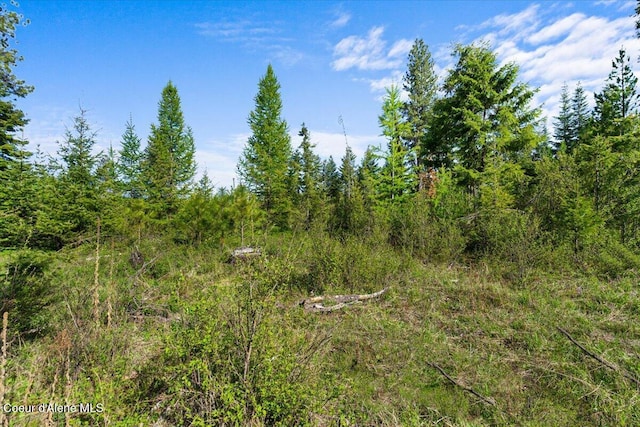 NKA Mutch Creek Rd, Saint Maries, ID 83861 - photo 11