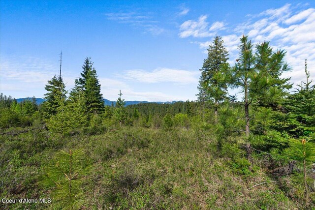 NKA Mutch Creek Rd, Saint Maries, ID 83861 - photo 12
