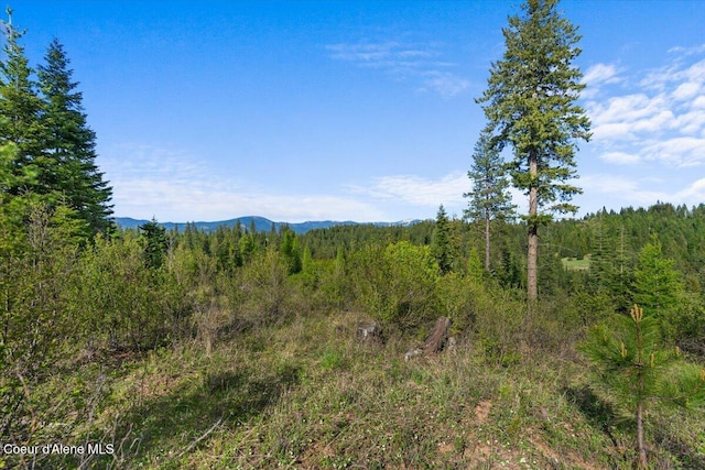 NKA Mutch Creek Rd, Saint Maries, ID 83861 - photo 13