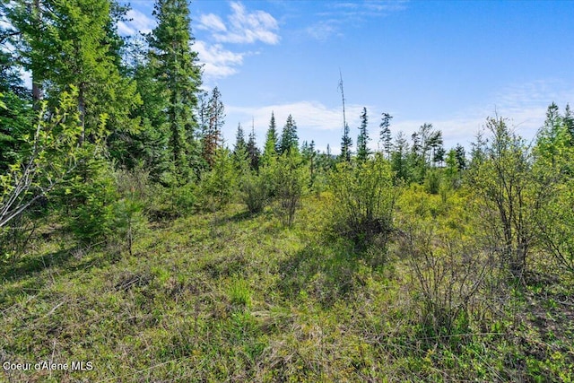 NKA Mutch Creek Rd, Saint Maries, ID 83861 - photo 14