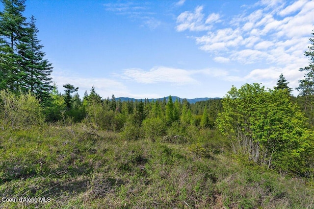 NKA Mutch Creek Rd, Saint Maries, ID 83861 - photo 15