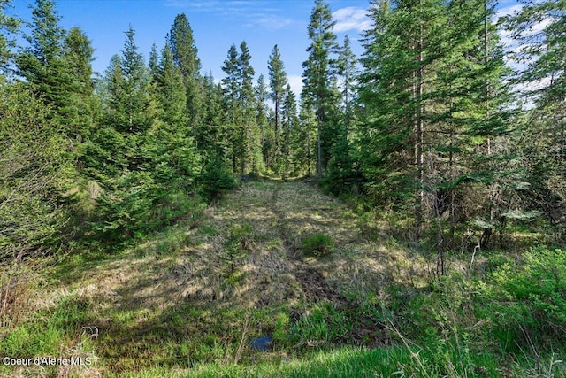 NKA Mutch Creek Rd, Saint Maries, ID 83861 - photo 17