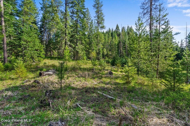 NKA Mutch Creek Rd, Saint Maries, ID 83861 - photo 22