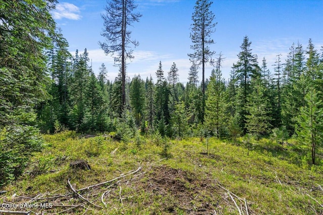 NKA Mutch Creek Rd, Saint Maries, ID 83861 - photo 23