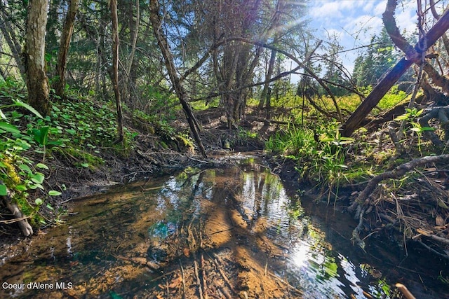 NKA Mutch Creek Rd, Saint Maries, ID 83861 - photo 2