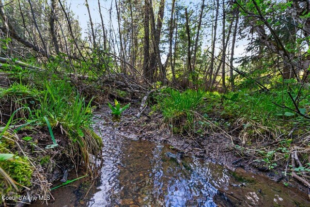 NKA Mutch Creek Rd, Saint Maries, ID 83861 - photo 3