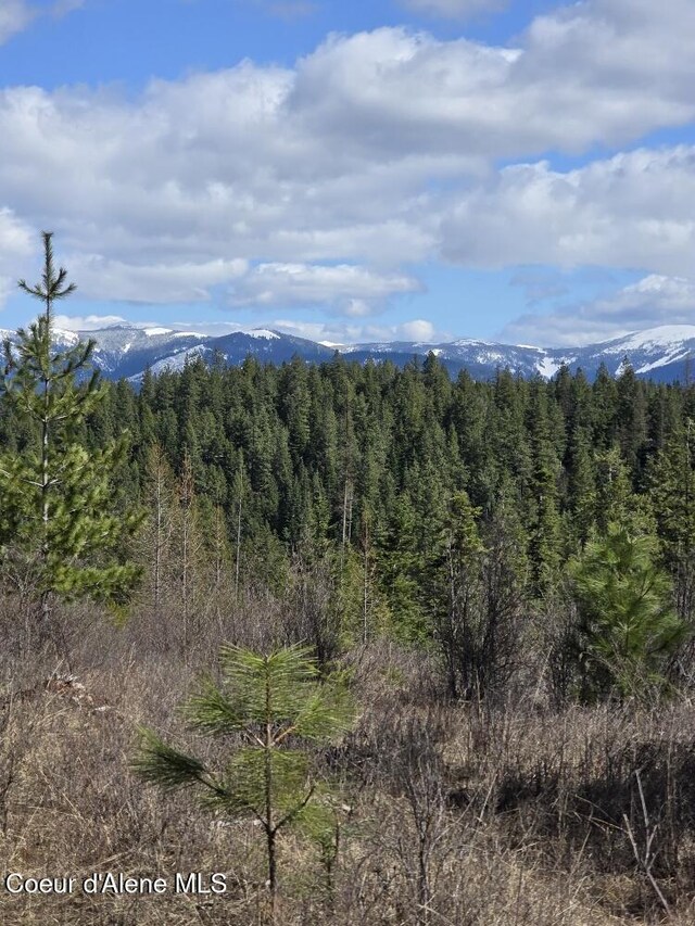 NKA Mutch Creek Rd, Saint Maries, ID 83861 - photo 24