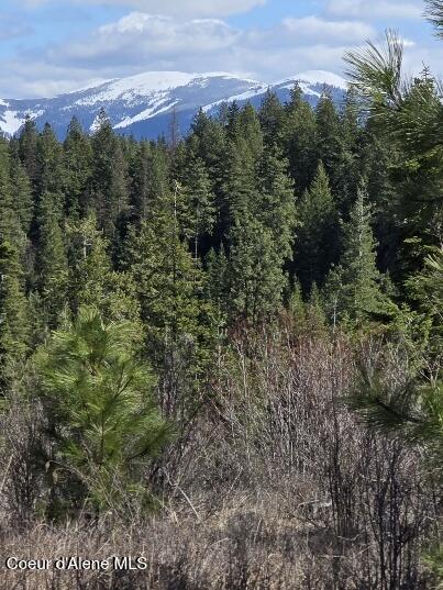 NKA Mutch Creek Rd, Saint Maries, ID 83861 - photo 25