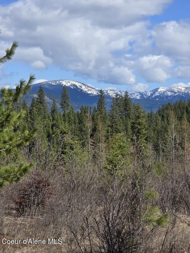 NKA Mutch Creek Rd, Saint Maries, ID 83861 - photo 26