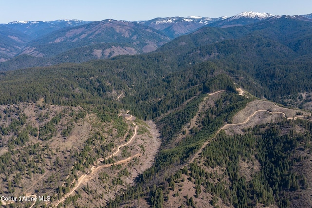 NKA262AC N Side Rd, Calder, ID 83808