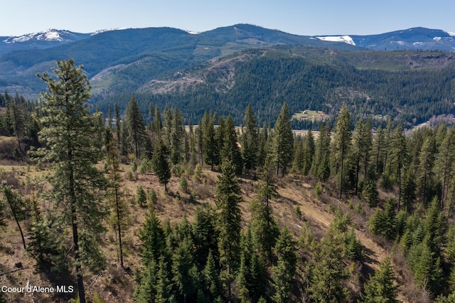NKA262AC N Side Rd, Calder, ID 83808