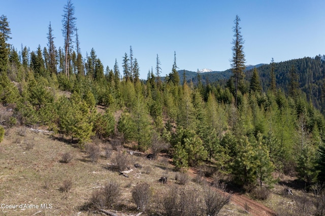 NKA262AC N Side Rd, Calder, ID 83808