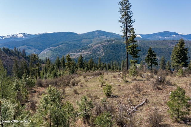 NKA262AC N Side Rd, Calder, ID 83808