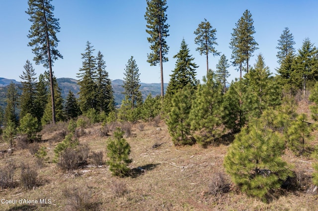 NKA262AC N Side Rd, Calder, ID 83808