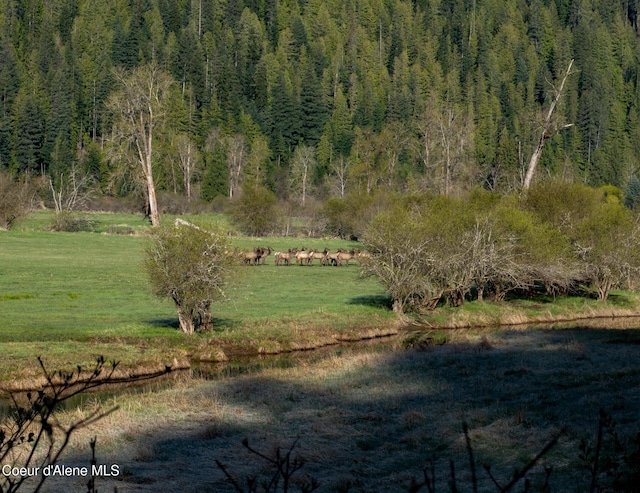 NKA262AC N Side Rd, Calder, ID 83808