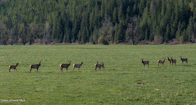 NKA262AC N Side Rd, Calder, ID 83808