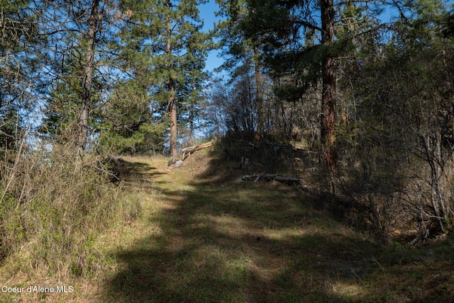 NKA262AC N Side Rd, Calder, ID 83808