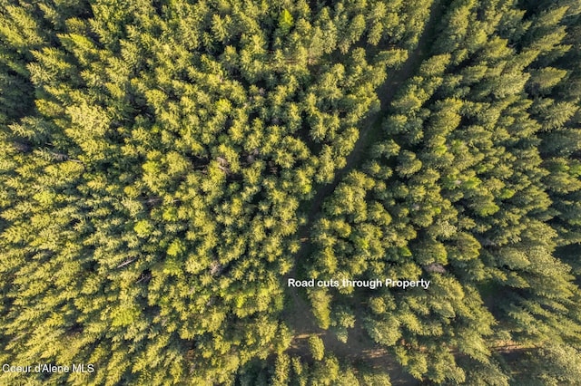 NNA Kootenai Trail Rd, Bonners Ferry, ID 83805 - photo 4