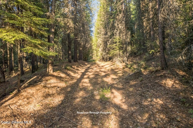 NNA Kootenai Trail Rd, Bonners Ferry, ID 83805 - photo 8