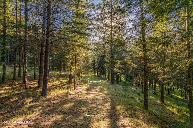 NNA Kootenai Trail Rd, Bonners Ferry, ID 83805 - photo 9