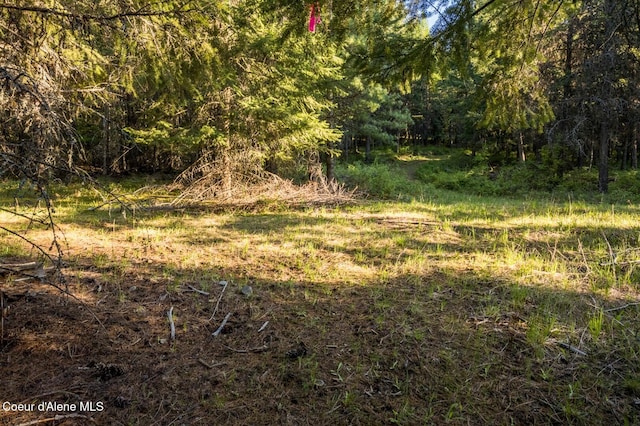 NNA Kootenai Trail Rd, Bonners Ferry, ID 83805 - photo 10