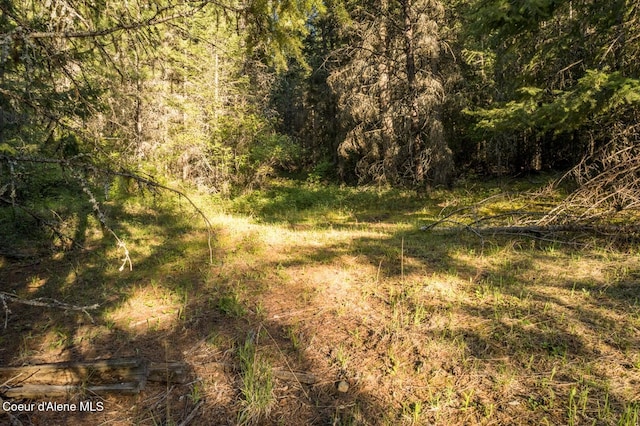 NNA Kootenai Trail Rd, Bonners Ferry, ID 83805 - photo 11
