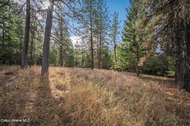 NKA10AC Becky Ln, Worley, ID 83876 - photo 5