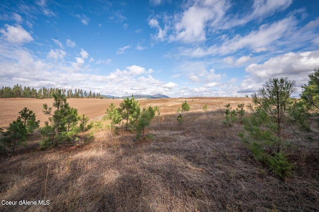 NKA10AC Becky Ln, Worley, ID 83876 - photo 2