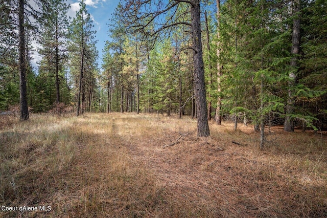 NKA10AC Becky Ln, Worley, ID 83876 - photo 4