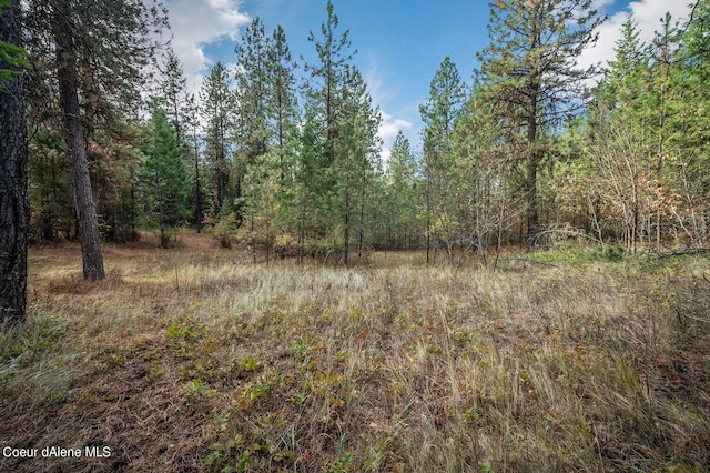 NKA10AC Becky Ln, Worley, ID 83876 - photo 3