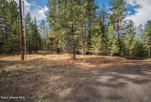 NKA10AC Becky Ln, Worley, ID 83876 - photo 15