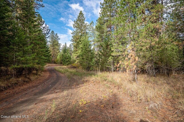 NKA10AC Becky Ln, Worley, ID 83876 - photo 16