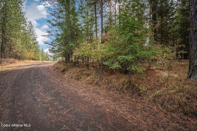 NKA10AC Becky Ln, Worley, ID 83876 - photo 17