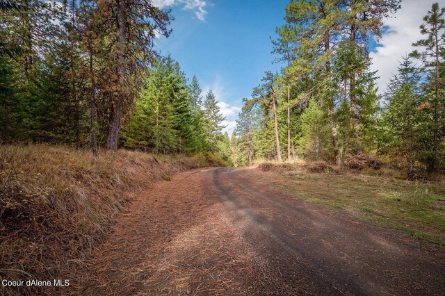 NKA10AC Becky Ln, Worley, ID 83876 - photo 19