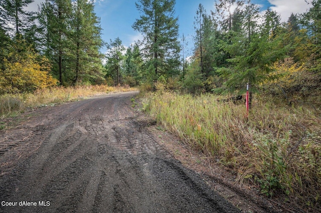 NKA10AC Becky Ln, Worley, ID 83876 - photo 21