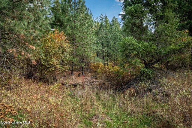 NKA10AC Becky Ln, Worley, ID 83876 - photo 22
