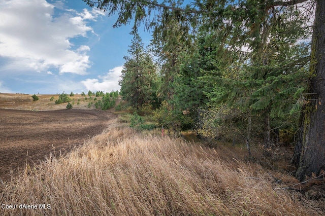 NKA10AC Becky Ln, Worley, ID 83876 - photo 23