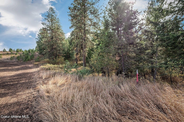 NKA10AC Becky Ln, Worley, ID 83876 - photo 24