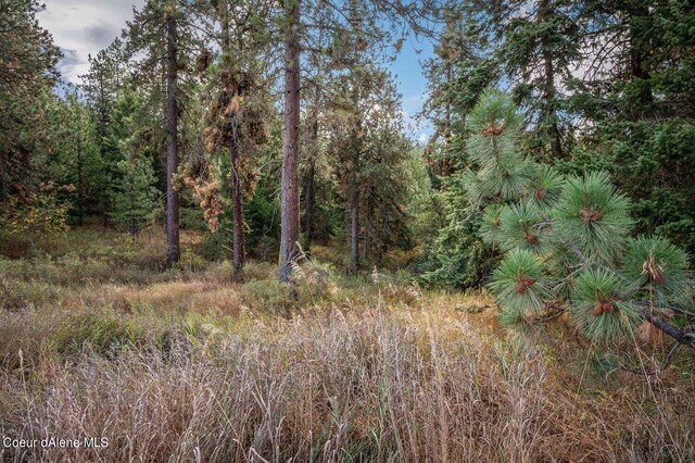 NKA10AC Becky Ln, Worley, ID 83876 - photo 25