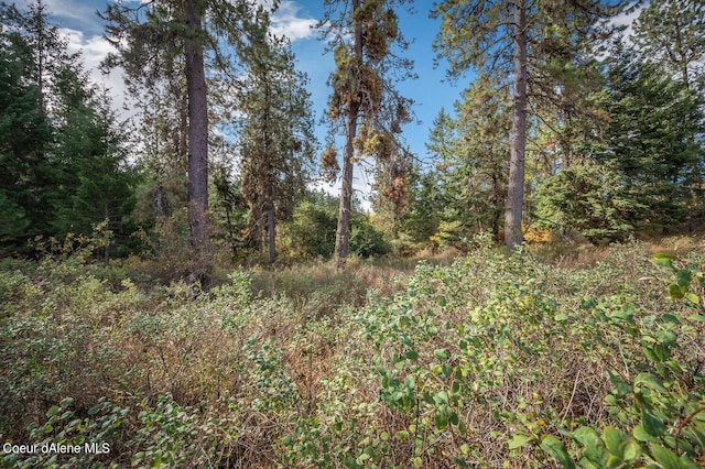 NKA10AC Becky Ln, Worley, ID 83876 - photo 26