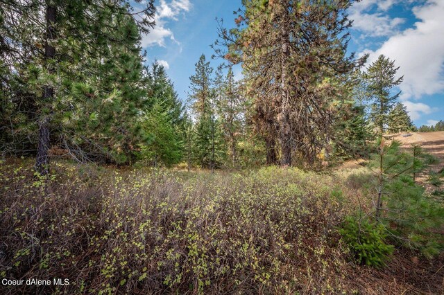 NKA10AC Becky Ln, Worley, ID 83876 - photo 27