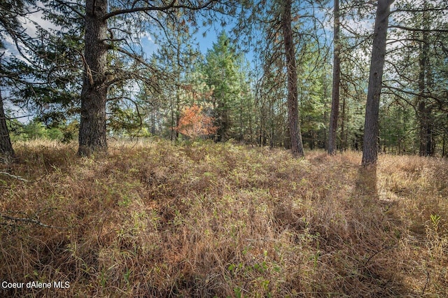 NKA10AC Becky Ln, Worley, ID 83876 - photo 29
