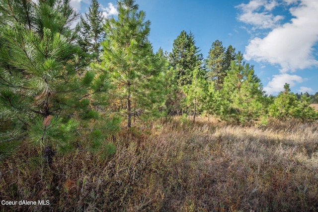 NKA10AC Becky Ln, Worley, ID 83876 - photo 30