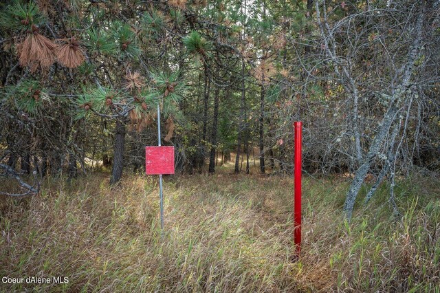 NKA10AC Becky Ln, Worley, ID 83876 - photo 31
