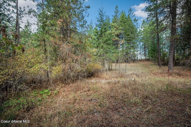 NKA10AC Becky Ln, Worley, ID 83876 - photo 32