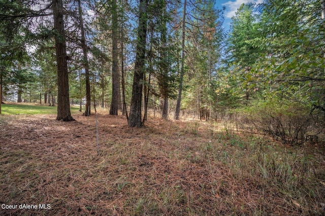 NKA10AC Becky Ln, Worley, ID 83876 - photo 33