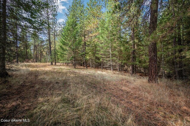 NKA10AC Becky Ln, Worley, ID 83876 - photo 34
